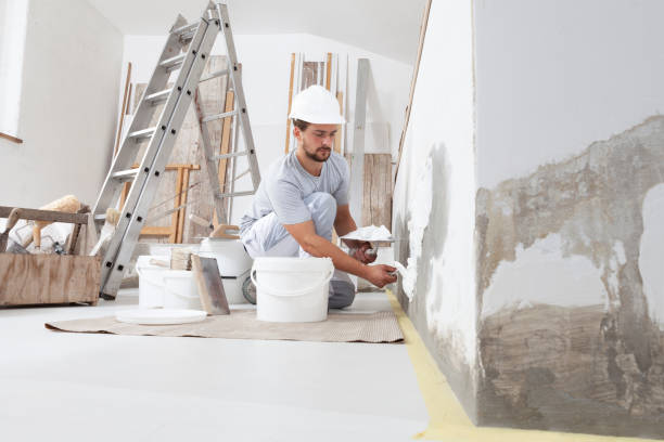 Trusted Privateer, SC Mold Removal Experts