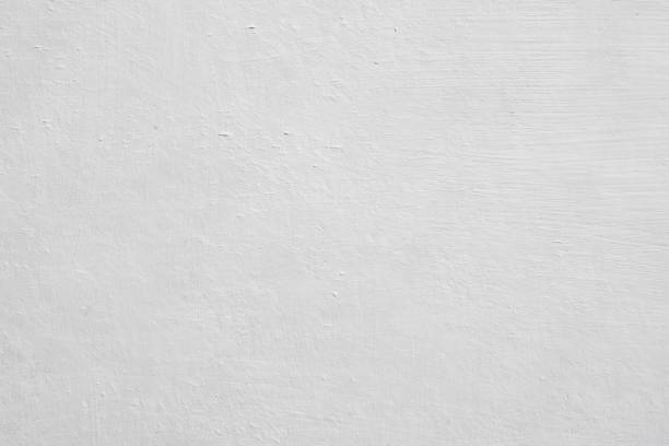 Privateer, SC Mold Removal Pros