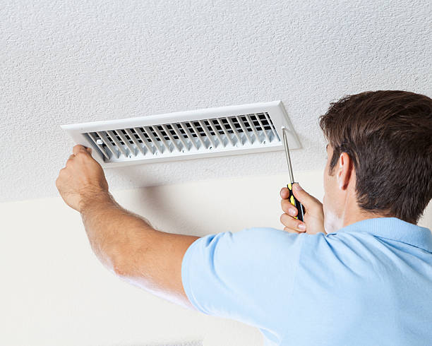 Best Attic Mold Removal  in Privateer, SC
