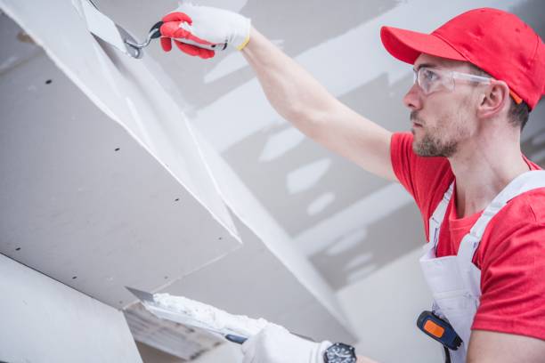 Best Air Quality Testing for Mold Spores  in Privateer, SC